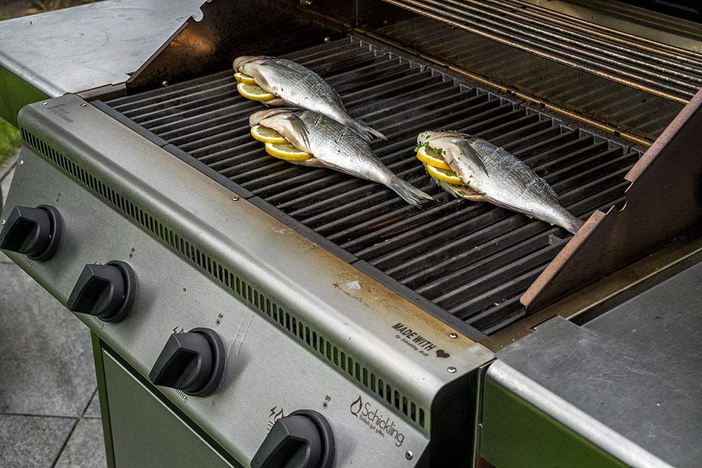 Dorade grillen