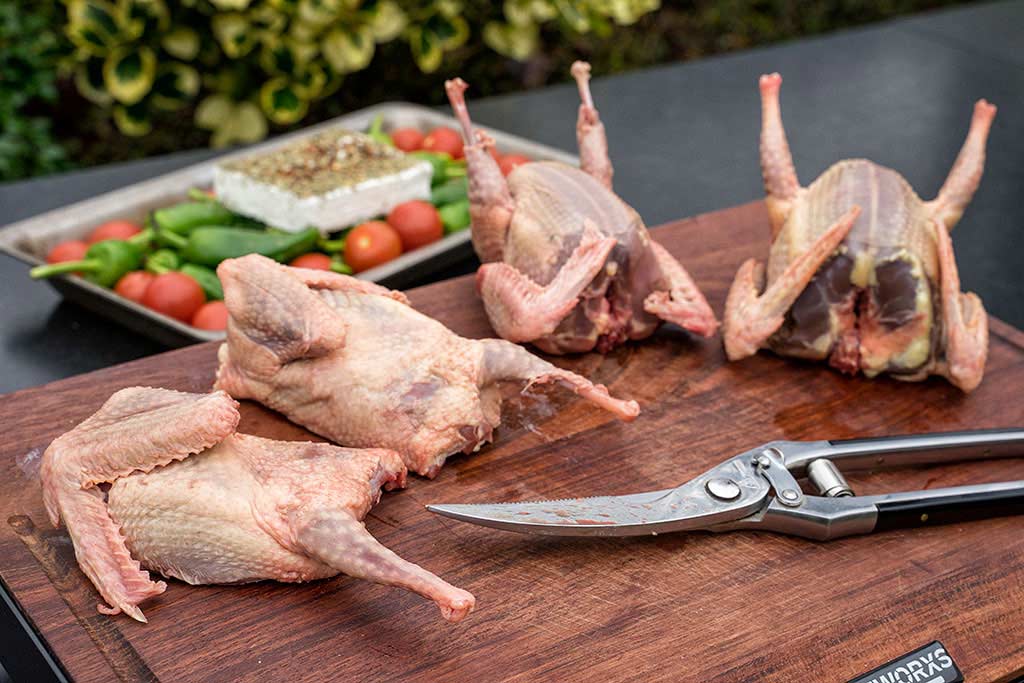 Brieftaube mit Geflügelschere halbieren