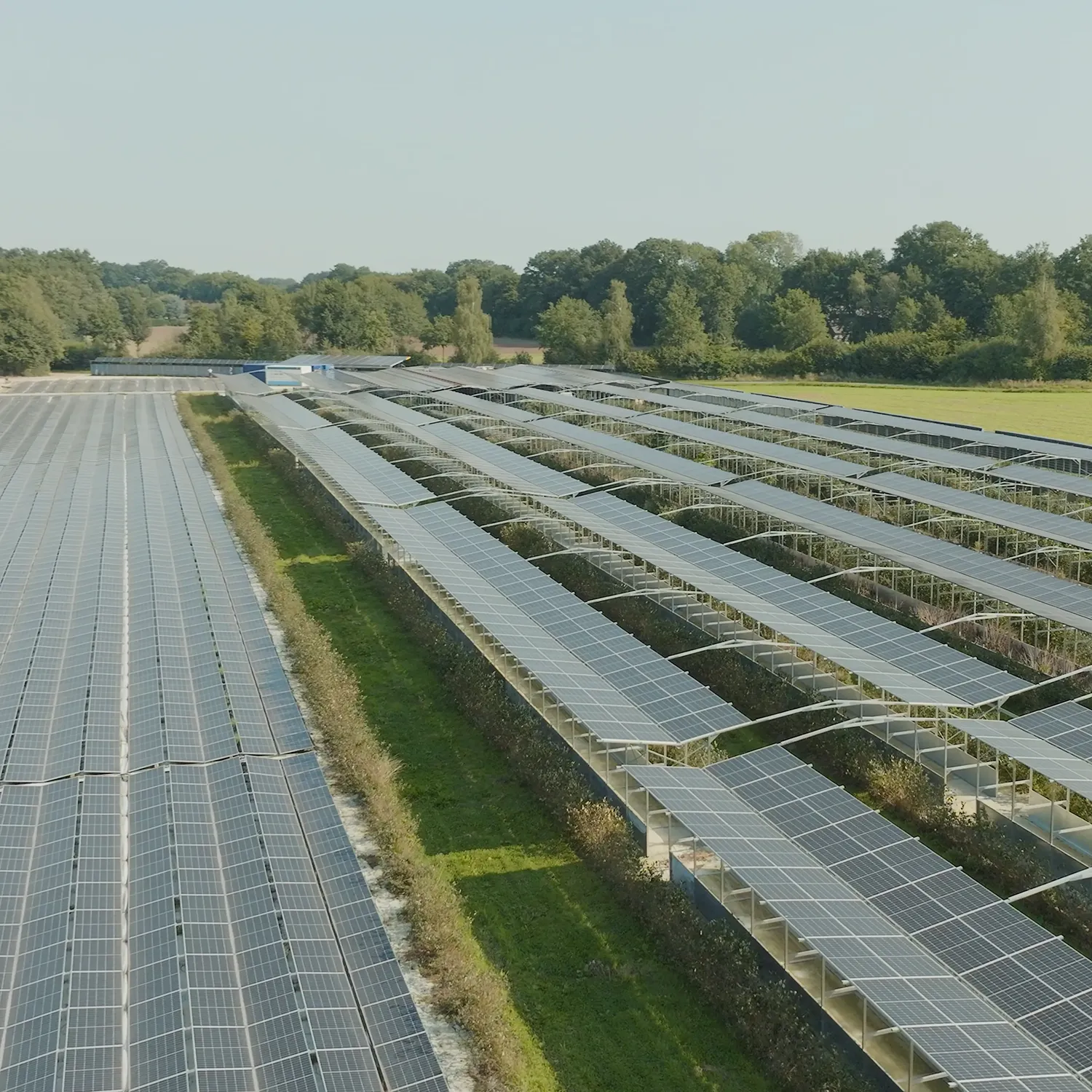Grillen mit grünem Gewissen