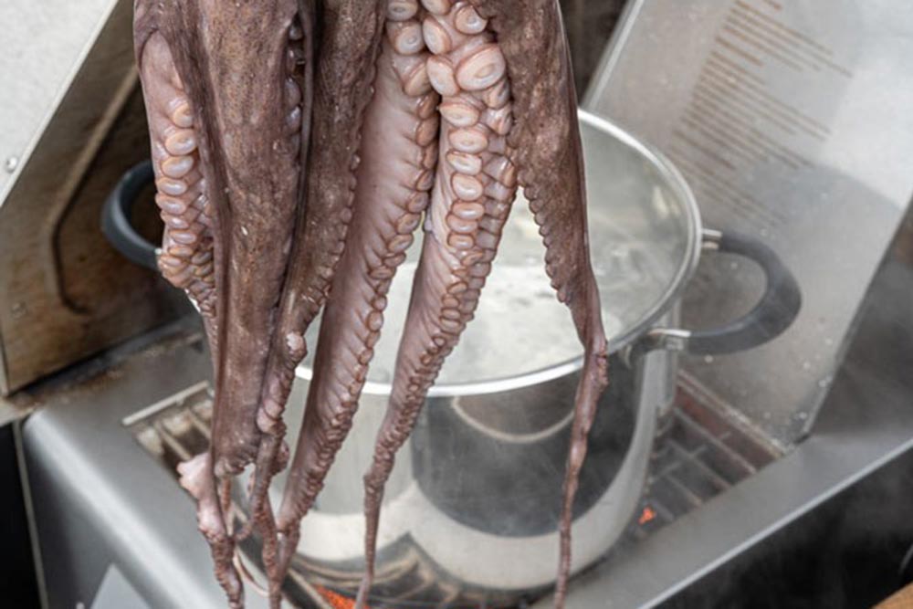 Pulpo ins Wasser geben