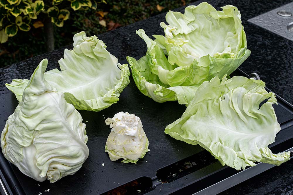 Spitzkohl vorbereiten